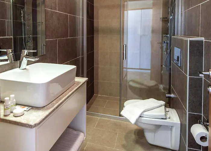 ميزو اسطنبول